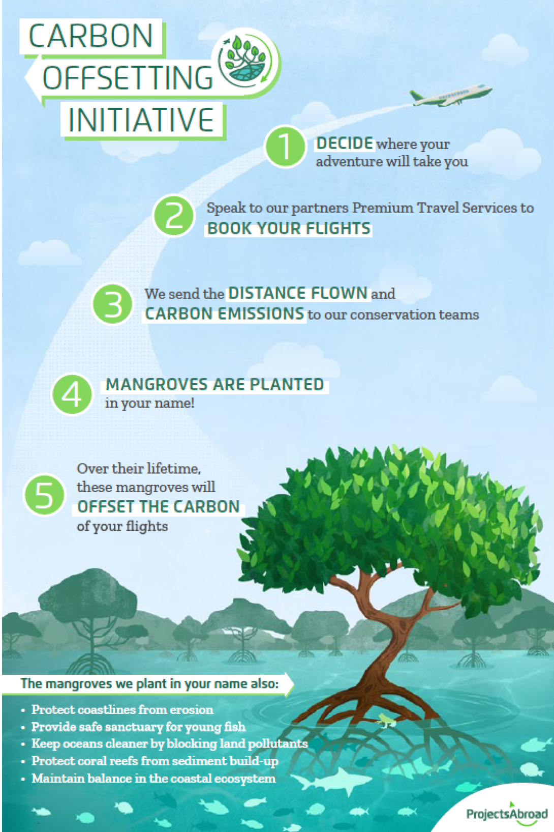 Infographic showing how planting mangroves reduces your carbon footprint Infographic showing how planting mangroves reduces your carbon footprint